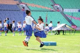 乒乓球：樊振东夺德国杯冠军