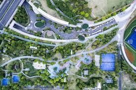 百家乐新手为什么要冷处理（百家乐新手为何需要冷静应对）